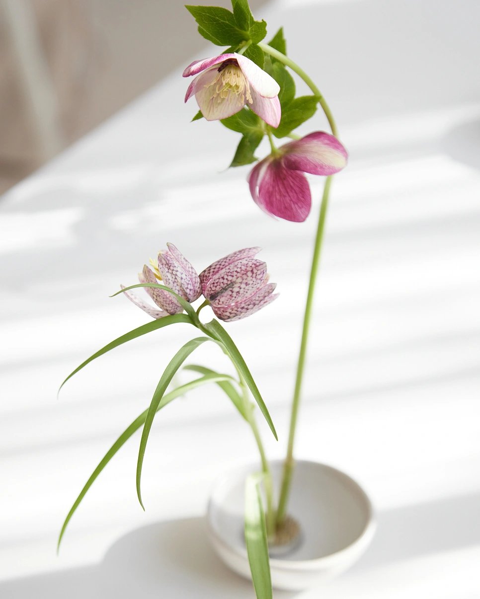 events-2024-madrid-blooms-frida-kim-b04