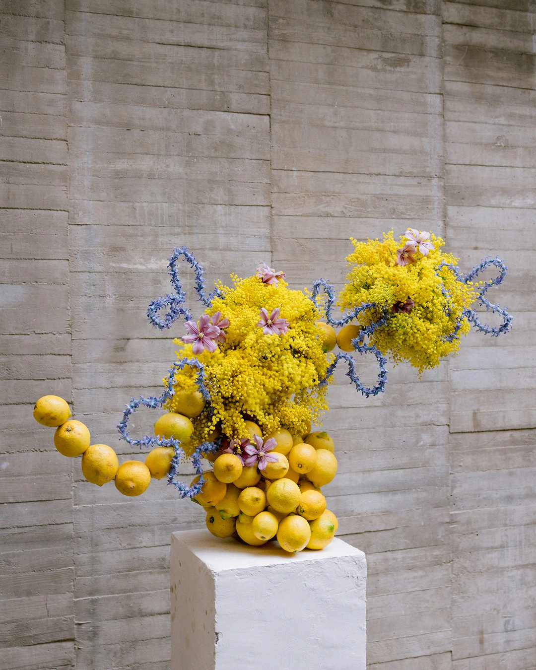 events-2025-madrid-blooms-hamish-powell-b06