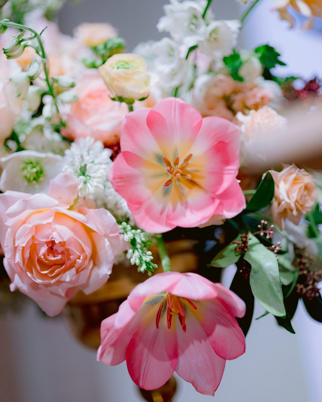 events-2025-madrid-blooms-holly-chapple-b04