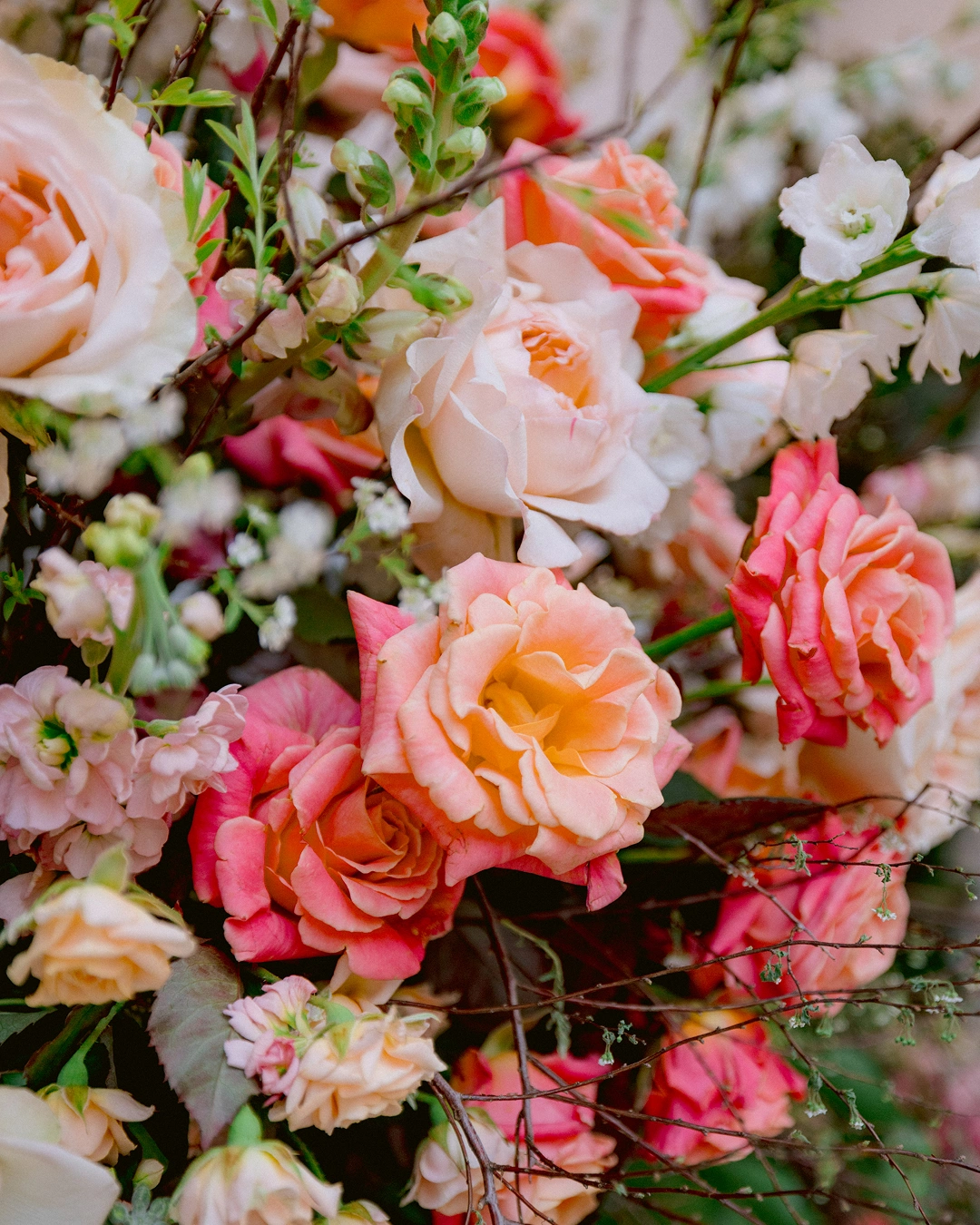 events-2025-madrid-blooms-holly-chapple-b07