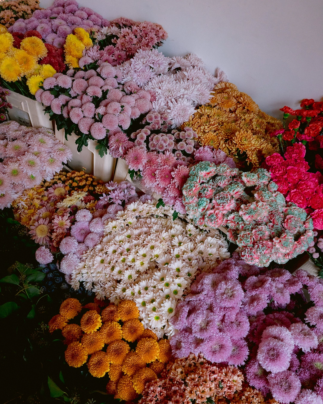 events-2025-madrid-blooms-latetita-mayor-b09