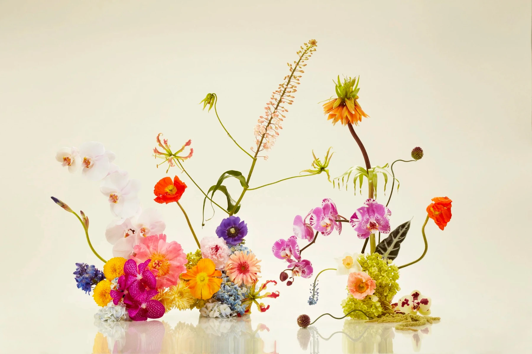 2026-Matalagan-Plantae-01